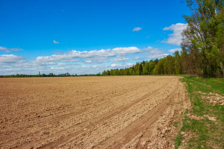 Vast freshly plowed field stretching under a bright blue sky with fluffy clouds. A dense green forest lines the horizon, hinting at rural serenityの写真素材