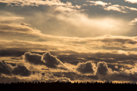 Golden hour clouds illuminated by the sun, creating a dramatic and picturesque sky above a dark forest silhouette, evoking a sense of calm and natural beautyの写真素材