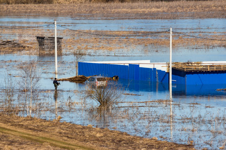 Plot in river floodplain flooded during spring floodの写真素材
