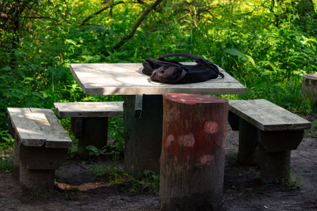 Wooden table and benches in a forest campsite, nature hikeの写真素材