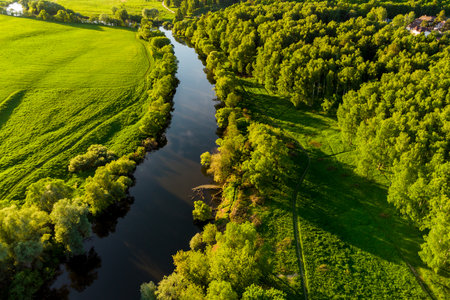 Scenic aerial view of green landscape with small riverの写真素材