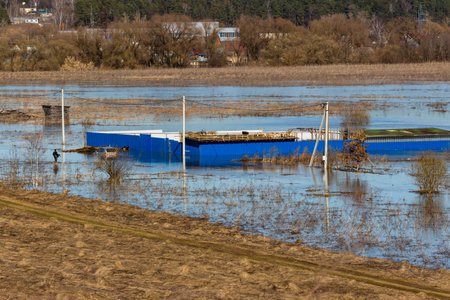Plot in river floodplain flooded during spring floodの写真素材