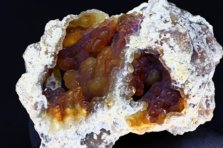 A specimen of kidney-shaped chalcedony on a dark background. Prioksky (or Golutvin) quarry, Moscow...