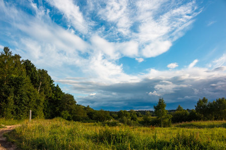 Expansive summer sky with dramatic clouds over a lush green field and distant forest. A serene natural landscape perfect for travel and outdoorsの写真素材