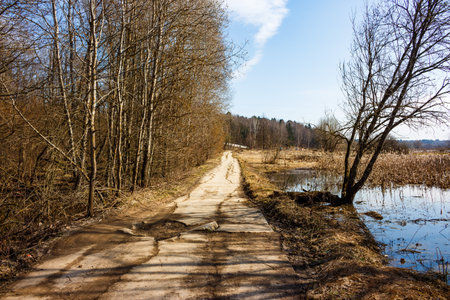 Old road in the countrysideの写真素材