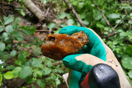 Cornelian flint found in a stream, inspection during a geological hike, central Russiaの写真素材