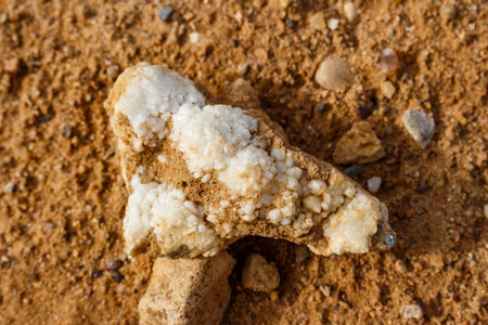 A brush of white quartz lying on the sand in a sand quarry, searching for minerals for the collectionの写真素材