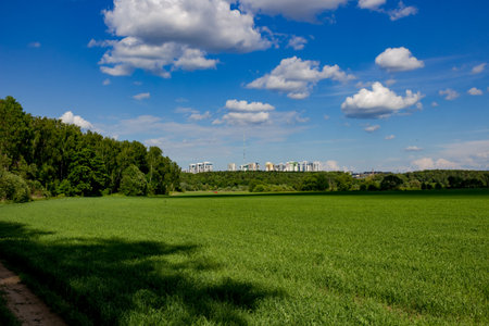 Vast green field stretching towards a distant tree line under a bright blue sky with fluffy clouds. Modern buildings peek above the horizonの写真素材