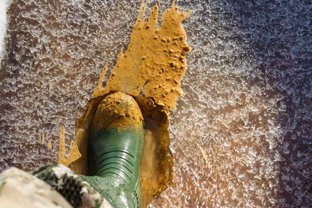 Mud-caked green wellie boot smashing through brittle ice on a frozen creek, stirring up dirty oozeの写真素材