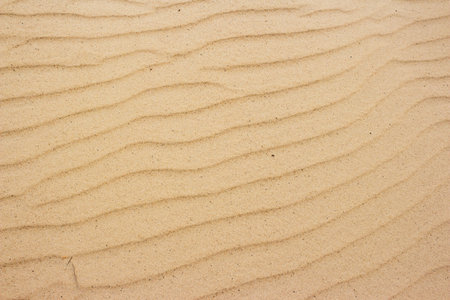 Golden sand ripples, wind-swept into elegant wavy patterns. A serene, natural texture for any design backdropの写真素材