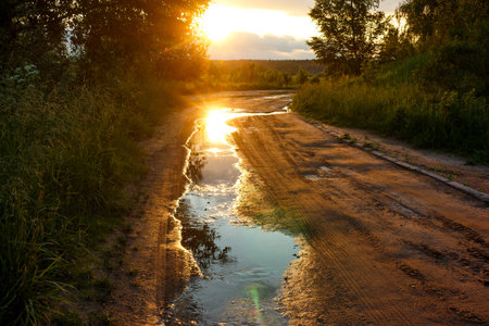 Golden sunset light kisses a rustic dirt track, shimmering brightly in puddles after a good soak. Lush green verges border this peaceful evening rural viewの写真素材