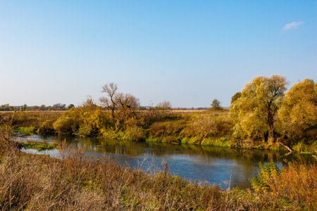 Serene autumn river meanders through golden banks under a clear blue sky, framed by vibrant foliage and dry grasses, conveying peaceful rural sceneryの写真素材
