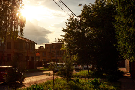 Golden hour glow bathes a residential street, casting long shadows. Sun flares through birch...