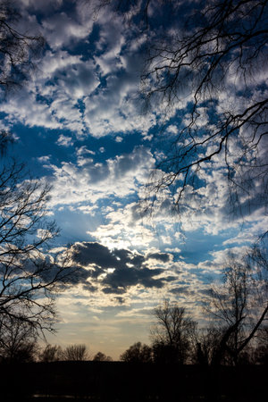Majestic sky vista with dynamic clouds, golden sunbeams piercing through. Silhouetted bare trees frame nature's grand canvas, hinting at a serene spring dayの写真素材