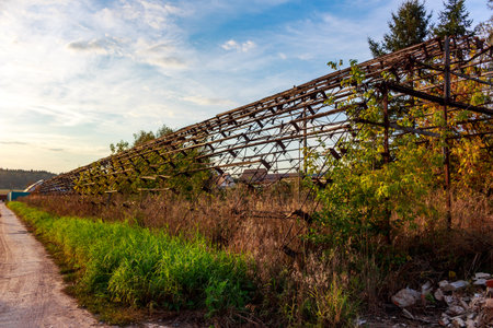 Vegetation-overgrown frame of a former hangar without cladding