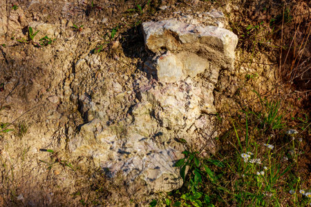 Outcrop of marbled limestone rocks on a slope, Lower Carboniferous. Kaluga region, Russia