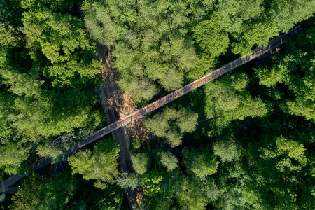Aerial view of a sleek metal footbridge crossing a verdant ravine, surrounded by lush green woodlands on a sunny dayの写真素材