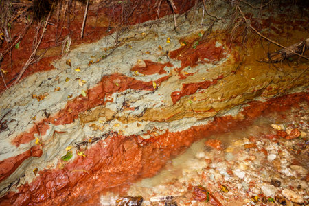 Striking variegated clay strata exposed in a Carboniferous ravine slope, revealing ancient...