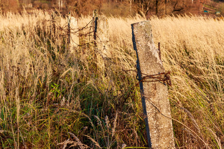 Weathered concrete fence posts with rusty barbed wire stand amidst golden field grass, illuminated by warm sunlight. Rural decay, autumn vibesの写真素材