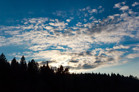 A breathtaking autumn sky at sunset, filled with fluffy altocumulus clouds above a dark forest silhouette. Nature's beauty unfolds as dusk approaches, a serene, atmospheric vistaの写真素材