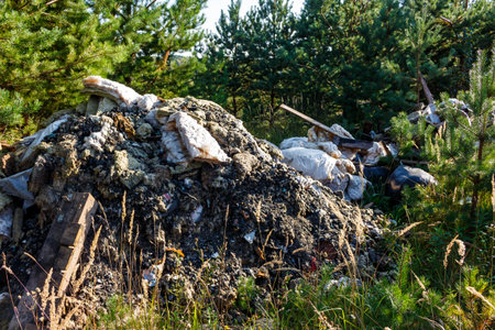 Large pile of illegally dumped construction and household waste in a forest. Unsightly environmental pollution, a messy, neglected site amidst green pinesの写真素材