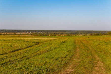 A rustic dirt track winds through a vibrant green-yellow field under a clear blue sky, leading towards a distant village and forest lineの写真素材