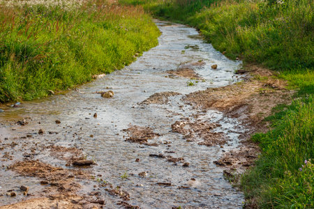 Flowing water carves a muddy path through vibrant green grass. A natural runoff scene in summery...