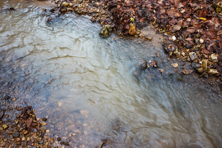 Murky brown water gently flows in an autumn stream. Earthy banks are strewn with fallen leaves and small stones, creating a natural, serene woodland sceneの写真素材