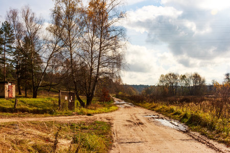 Autumn dirt road meandering through a rustic countryside. Bare birch trees, golden grasses, and a cloudy sky create a tranquil, isolated atmosphere for a peaceful hikeの写真素材