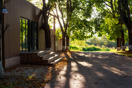 Rustic modern entrance bathed in warm autumn sunlight. Golden leaves adorn wooden steps, flanked by trees casting long serene shadows on the path. A tranquil fall sceneの写真素材