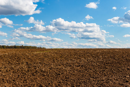 Vast plowed field under a vibrant blue sky with fluffy white clouds, symbolizing spring's promise and rural charm. Fertile ground ready for new growth and abundant harvestの写真素材