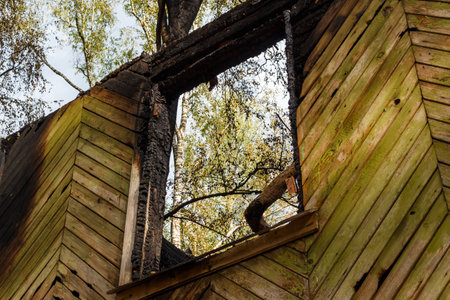 Charred wooden beams and rustic siding of a fire-damaged building, framing a glimpse of vibrant green foliage and sky beyond, a poignant sceneの写真素材
