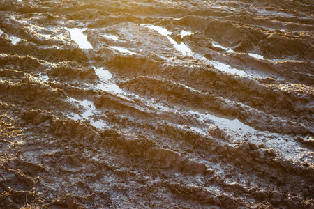Mud and water on the off-roadの写真素材