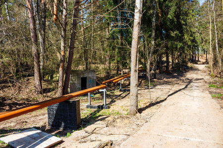 Laying an above-ground pipeline through a forestの写真素材