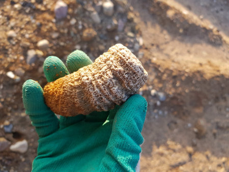 Fossilized coral in hand, searching for fossils in central Russia