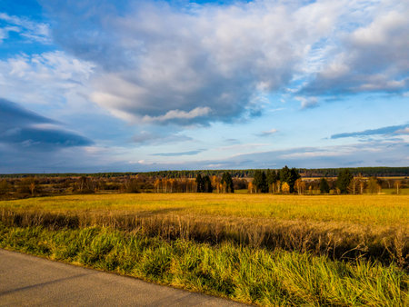 Golden autumn field stretches under a cloudy sky, bordered by diverse trees and a rural road. Warm sunlight kisses the dry grassの写真素材