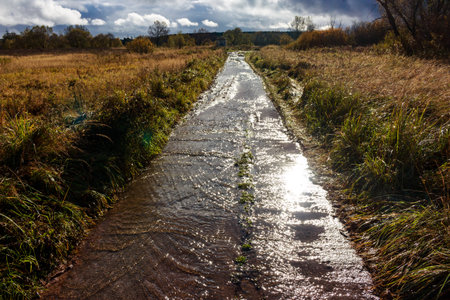 A stream flows down a sun-dappled rural road, reflecting golden light amidst autumn fields. Nature's path, wet and wild, leads through picturesque sceneryの写真素材