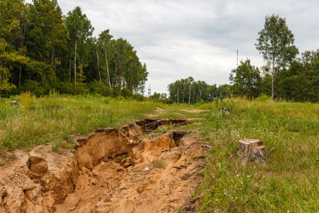 Deep earth erosion with exposed roots and a prominent tree stump mark a rugged path through a summer meadow near dense woodland under a cloudy skyの写真素材
