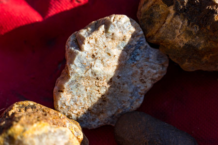 Close-up of a silica-replaced fossil sponge specimen, showcasing intricate surface texture and warm...
