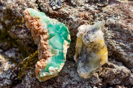 Green chrysoprase from Kazakhstan and opal with dendrites from Russia lying side by sideの写真素材
