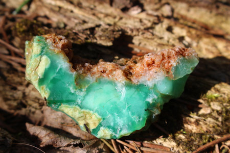 Untreated green chrysoprase illuminated by sun rays, deposit Kazakhstanの写真素材