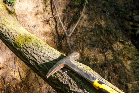 Steel geological hammer lying on a treeの写真素材