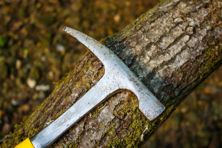 Steel geological hammer lying on a treeの写真素材