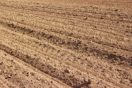 Soil on a farm field plowed before planting