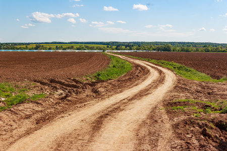 Dirt road going through farm plowed fields