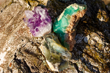 Amethyst druse, opal with dendrites and green chrysoprase lying on a tree in the sun, mineralogical varieties of silicaの写真素材