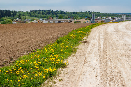 Rustic dirt road curving next to a vibrant dandelion field and freshly plowed earth. Distant village...