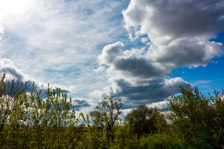 Cloudscape with stratus and cumulus clouds on green backgroundの写真素材