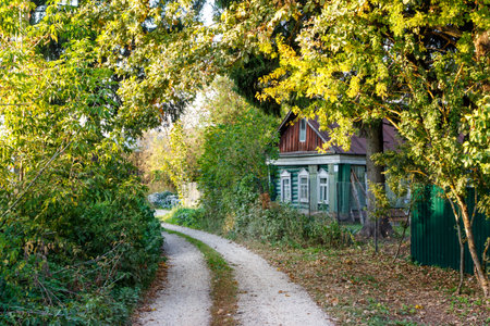 Charming rustic wooden house nestled beside a winding dirt road, bathed in the warm glow of early...