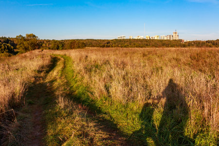 Long shadow of a cyclist stretches across golden meadow grass on a bright September afternoon walk through the countrysideの写真素材